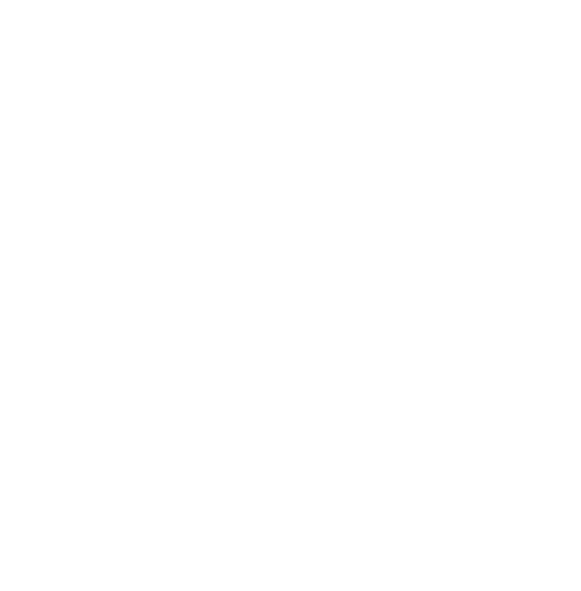 Tallios Full White Logo transparent BG logo